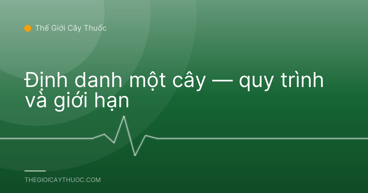 Định danh một cây — quy trình và giới hạn
