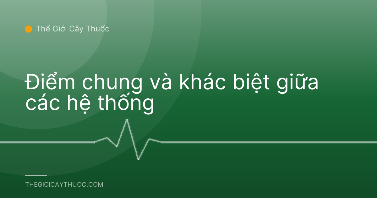 Điểm chung và khác biệt giữa các hệ thống