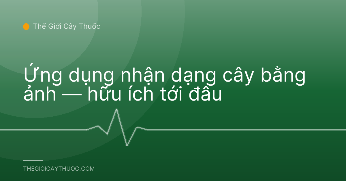 Ứng dụng nhận dạng cây bằng ảnh — hữu ích tới đâu