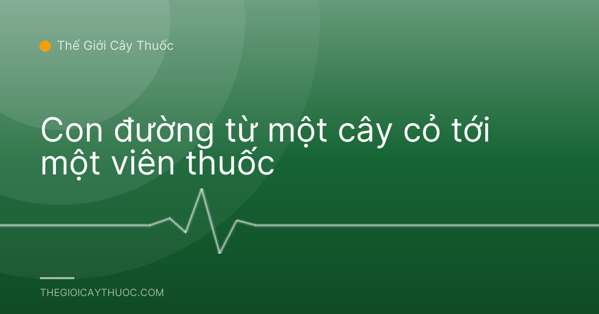 Con đường từ một cây cỏ tới một viên thuốc