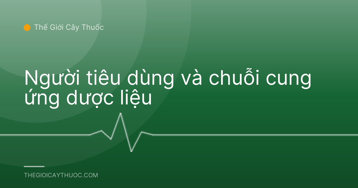 Người tiêu dùng và chuỗi cung ứng dược liệu