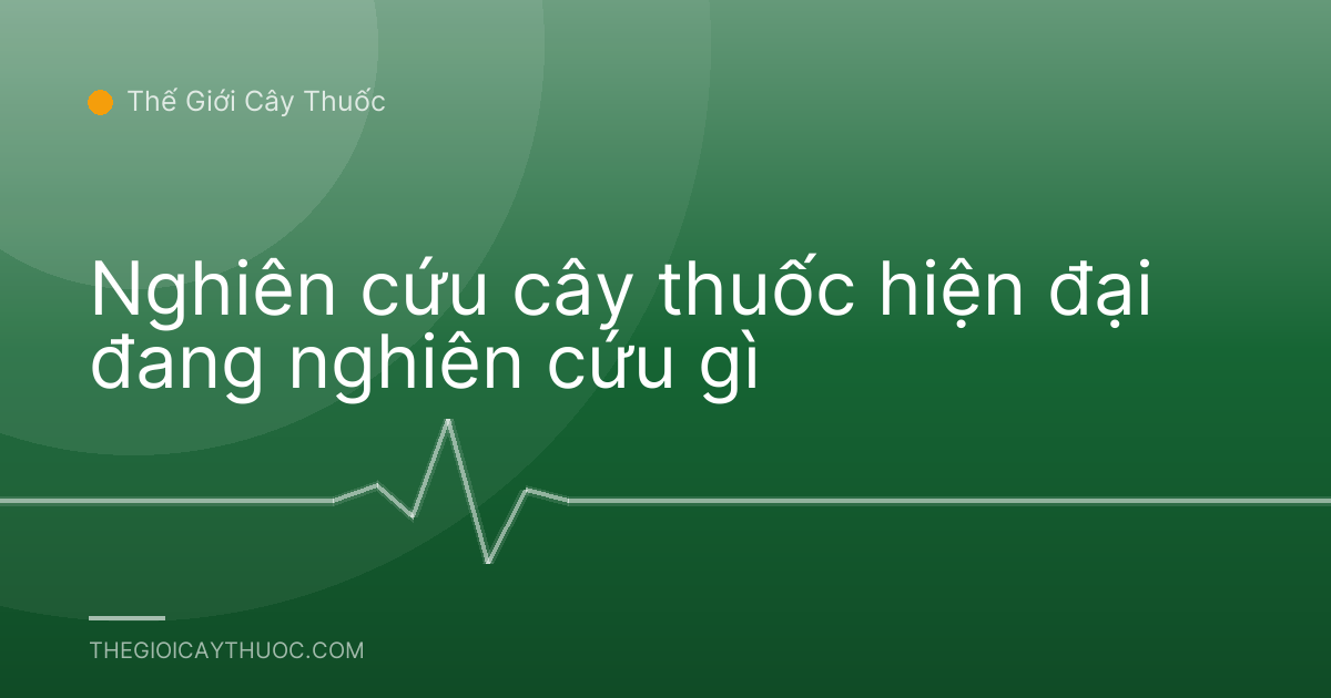 Nghiên cứu cây thuốc hiện đại đang nghiên cứu gì
