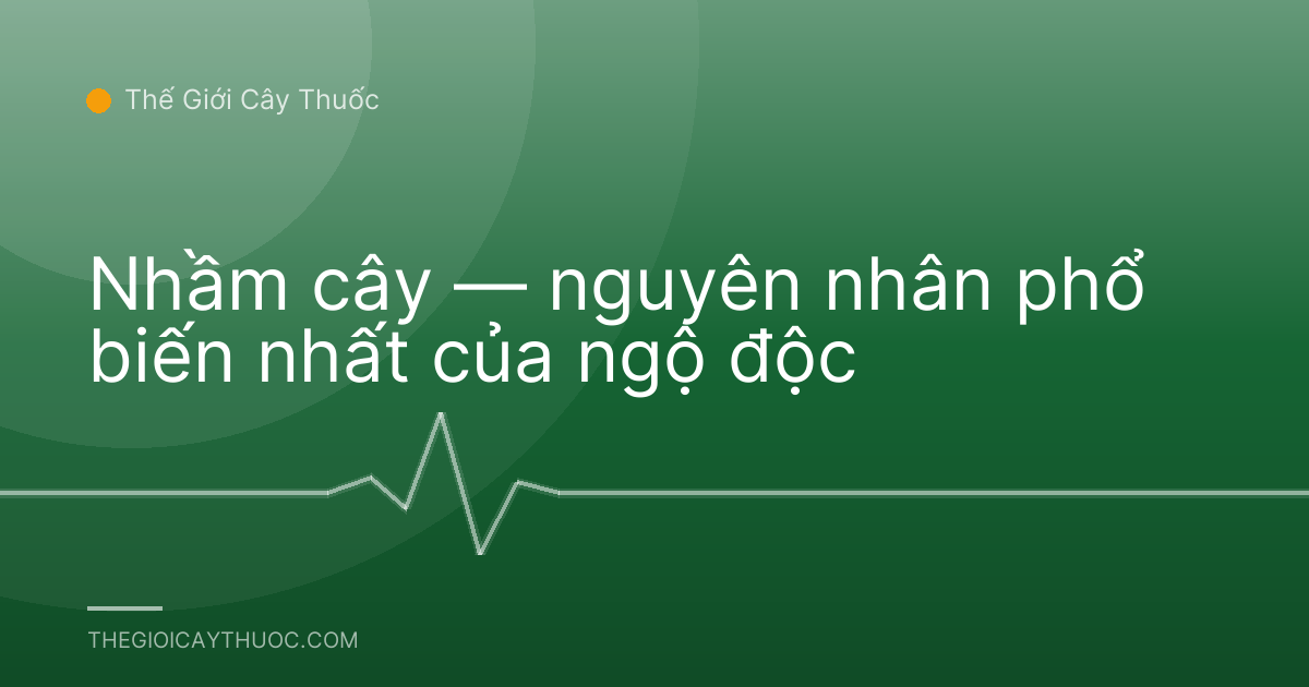 Nhầm cây — nguyên nhân phổ biến nhất của ngộ độc