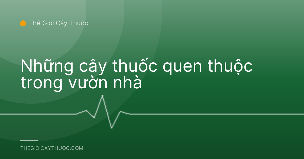 Những cây thuốc quen thuộc trong vườn nhà