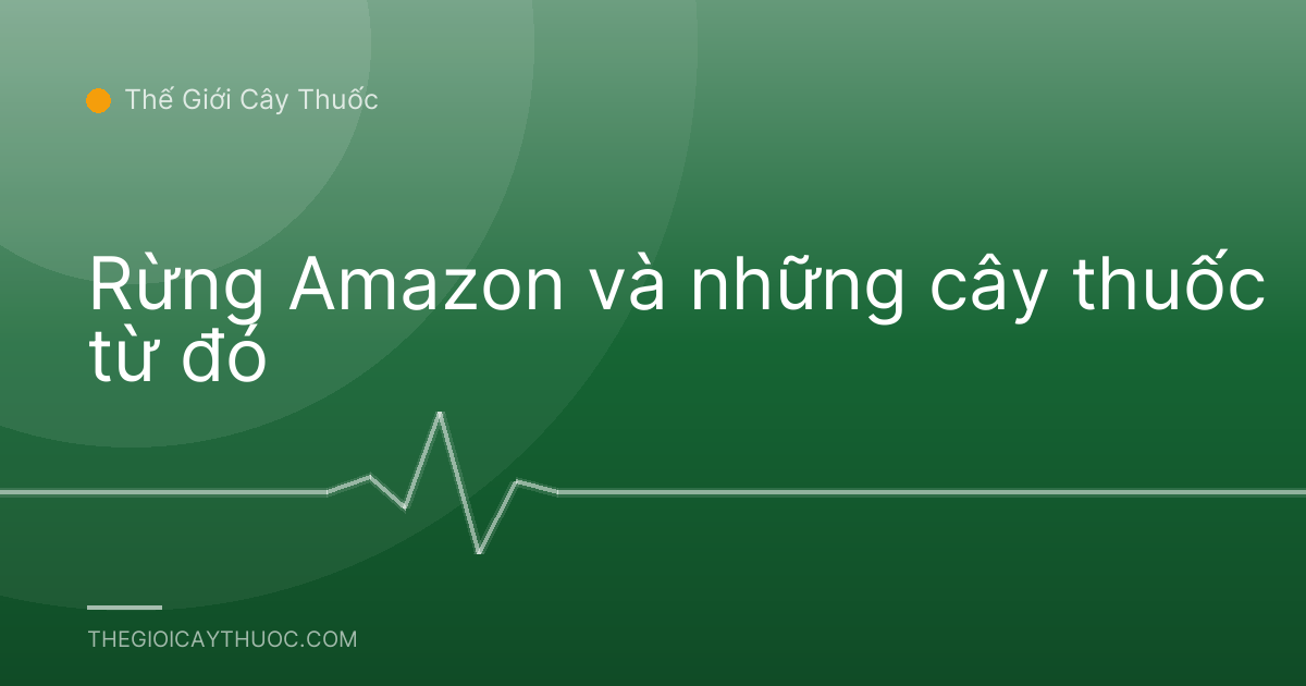 Rừng Amazon và những cây thuốc từ đó