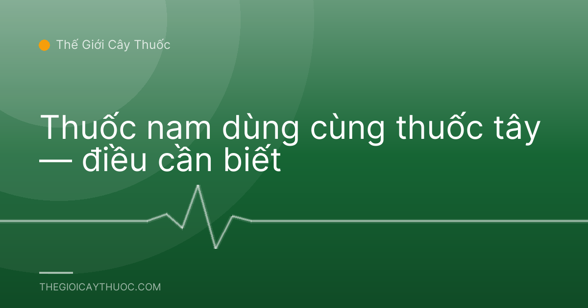 Thuốc nam dùng cùng thuốc tây — điều cần biết