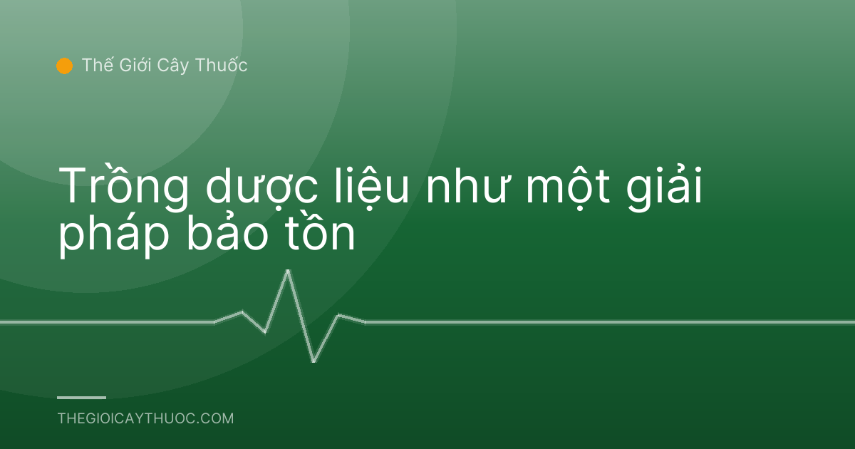 Trồng dược liệu như một giải pháp bảo tồn