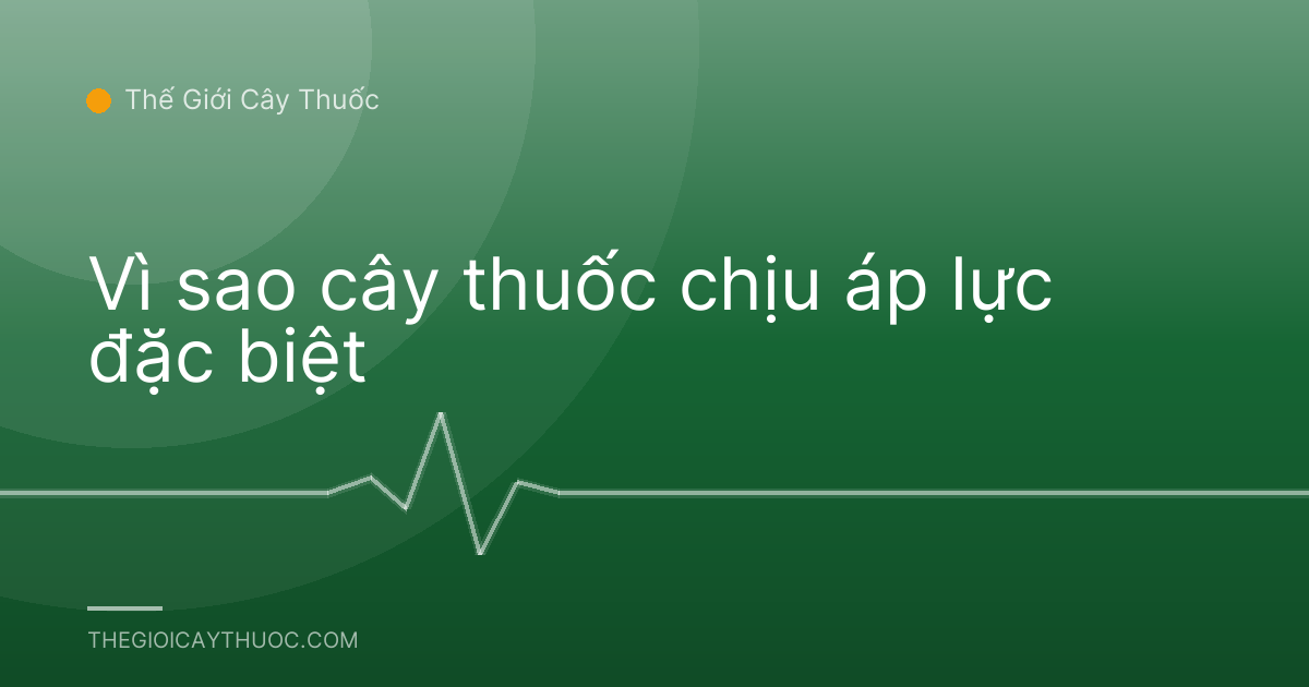 Vì sao cây thuốc chịu áp lực đặc biệt