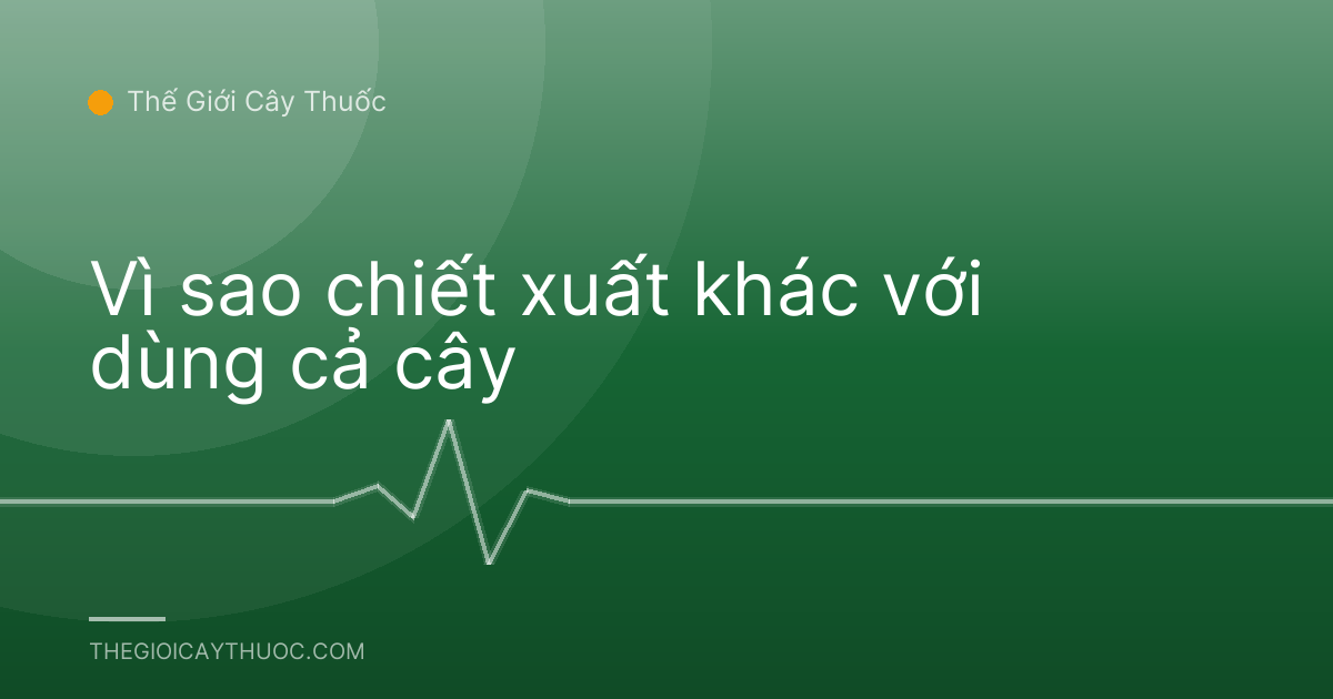 Vì sao chiết xuất khác với dùng cả cây