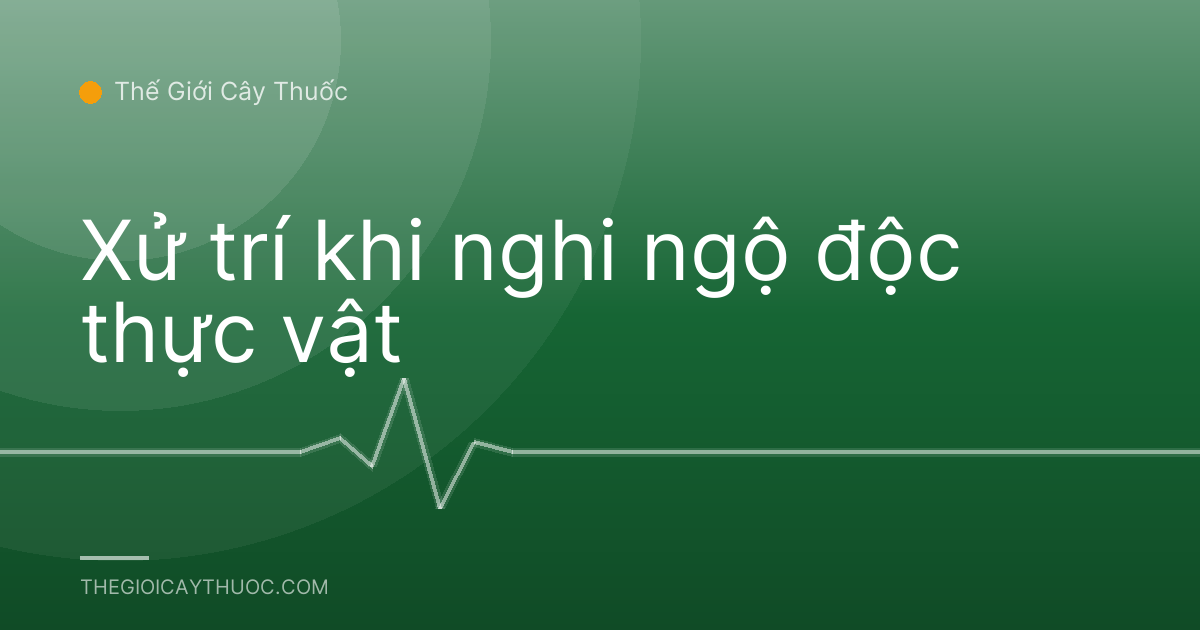Xử trí khi nghi ngộ độc thực vật